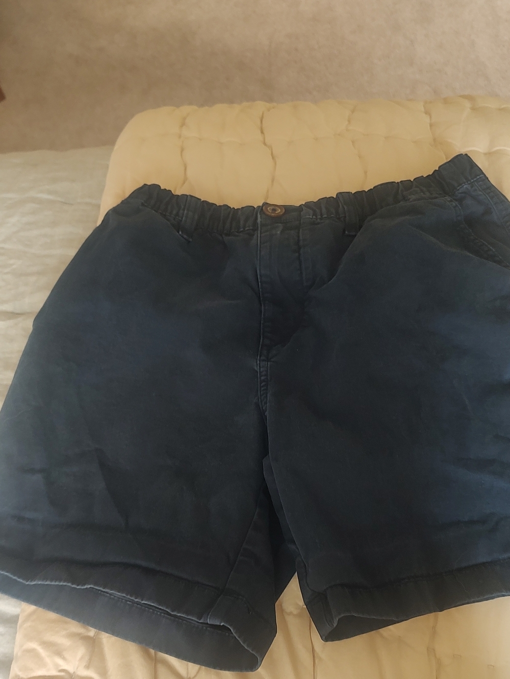 Chubbies Navy Shorts Medium
